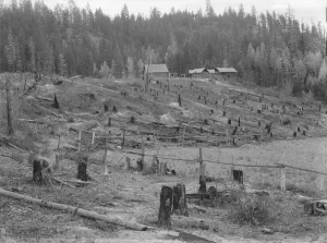 Boundary Idaho United States Of America Collection: New settlers shack at foot of hills on poor sandy soil, Boundary County, Idaho, 1939