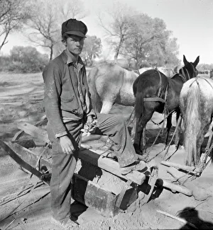 Resettlement Prints: A new start, Bosque Farms project, New Mexico, 1935. Creator: Dorothea Lange