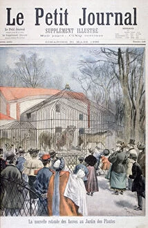 Images Dated 4th May 2007: The new wildcat house at the Jardin des Plantes, Paris, 1895. Artist: Oswaldo Tofani