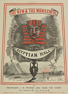 Trick Prints: The New & The Wonderful at Egyptian Hall by Professor Pepper and Thomas Tobin