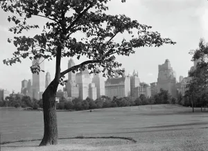 Central Park Prints: New York City views, Central Park, between 1931 and 1938. Creator: Arnold Genthe