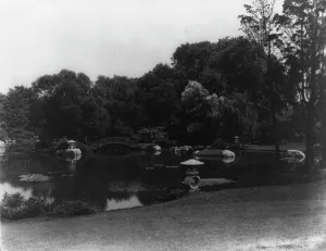 New York. Long Island - Japanese garden at home of Mrs. George W. Wickersham, Laurence, c1915. Creator: Frances Benjamin Johnston