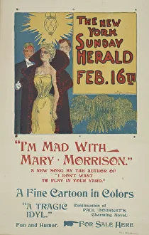 Posters Prints: The New York Sunday herald. Feb. 16th. c1896. Creator: Charles Hubbard Wright