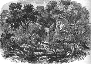 North Island Prints: New Zealand Landscape, c1880
