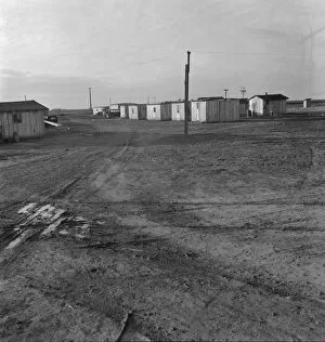 Cabin Gallery: Newly-built cabins, rent five dollars per month, near Bakersfield, California, 1939