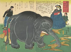 Diptych Collection: Newly Imported Great Elephant, 2nd month, 1863. 2nd month, 1863. Creator: Ichiryusai Yoshitoyo