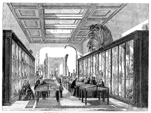Specimens Prints: The Newly Opened Botanical Room at the British Museum, 1858. Creator: Unknown