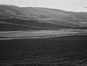 Newly-plowed fields on land...member of Ola self-help sawmill co-op, Gem County, Idaho, 1939. Creator: Dorothea Lange