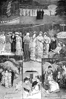 Potted Palms Prints: Night Fete at the Botanic Gardens