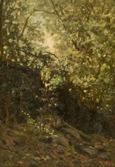Enchanted Gallery: Night Through Forest, 1889. Creator: Louis Michel Eilshemius