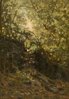 Enchanted Prints: Night Through Forest, 1889. Creator: Louis Michel Eilshemius