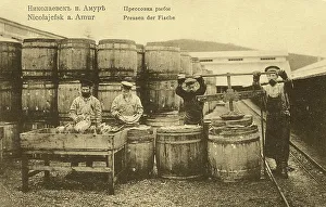 Fishing Industry Prints: Nikolaevsk-on-Amur. Pressing fish, 1900. Creator: Unknown