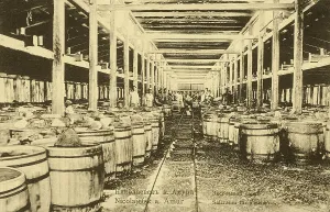 Nikolaevsk-on-Amur. Salting shed, 1900. Creator: Unknown