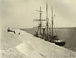 Nimrod Prints: Nimrod Picking Up The Northern Party, c1908, (1909)