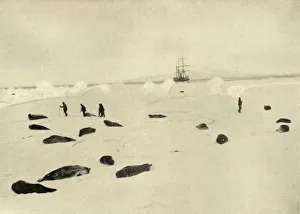 Shackleton Prints: The Nimrod at Pram Point on March 4, 1909