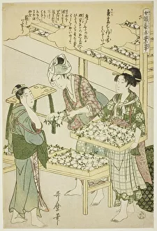 Silk Farming Prints: No. 6 (roku), from the series Women Engaged in the Sericulture Industry (Joshoku)
