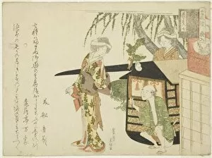 Branch Gallery: No. 7: The Bridal Procession (Koshi-iri), from the series 'The Mouses Wedding