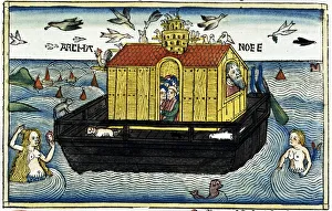 Noahs Ark