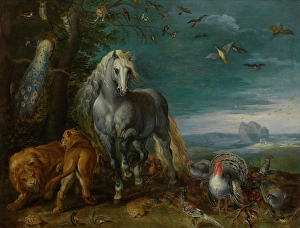 Kessel Jan Van Prints: Noah's Ark. Creator: Jan van Kessel