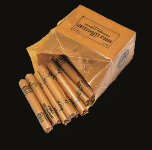 The Nobels Extradynamit. Artist: Historic Object
