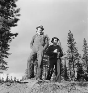 Cigarettes Gallery: Non-farm migrants from Mississippi, came west in 1935, Gilchrist, Oregon, 1939