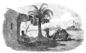 Noon Prints: Noonday Shelter, 1857. Creator: Unknown