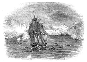 First Nations Prints: The North Atlantic Telegraph - The Expedition arriving at Kaksimiut