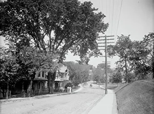 Telegraph Pole Prints: North Avenue, Fishkill-On-Hudson, N.Y. c1907. Creator: Unknown