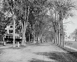 New Hampshire Prints: North Main Street, Dartmouth College, ca 1900. Creator: Unknown