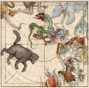 Swan Prints: North Pole, Plate 1 from Globi coelestis in tabulas planas redacti descriptio, 1674