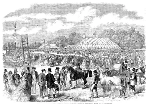 Marquees Prints: The Northamptonshire Agricultural Society's show in Burghley Park