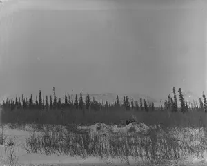 Northern Alaska Exploring Expedition, 1884-1886. Creator: Unknown
