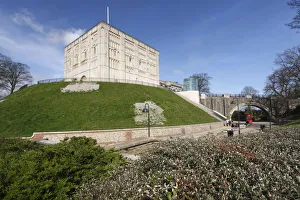 Peter Thompson Gallery: Norwich Castle, Norfolk, 2010