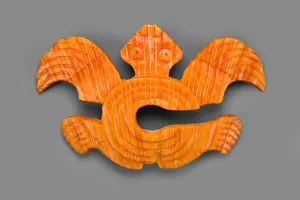 Turtle Prints: Nose Ornament in the Form of a Turtle with C-shaped Body