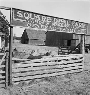 Carriage Gallery: Note on changing rurual life, on U.S. 99, Williamette Valley, Benton County, Oregon, 1939