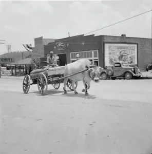 Garage Prints: A note on transportation, Eden, Alabama, 1936. Creator: Dorothea Lange