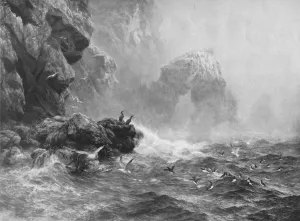Laridae Prints: Where Nought Is Heard But Lashing Wave And Sea-Birds Cry