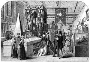 Display Case Gallery: The Nova Scotia section of the Paris International Exhibition, 1867