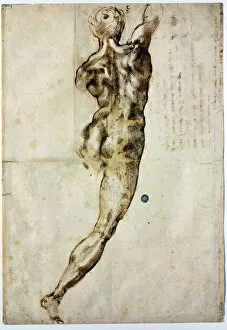 Brown Indian Ink On Paper Gallery: Nude from behind, c. 1504. Artist: Buonarroti, Michelangelo (1475-1564)