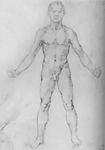 Reynal Hitchcock Collection: Nude Man With Arms Stretched Out, Seen from the Front, c1480 (1945). Artist: Leonardo da Vinci