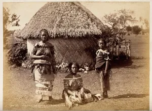 Traditional Culture Prints: Nuku'alofa, Tonga: three Tongan women in front of a traditional hut, c1870s