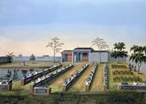 Nursery Prints: Nursery garden, China, c1820-1840