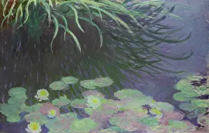 Nympheas avec reflets de hautes herbes (Water lilies with reflections of tall grass), 1897. Creator: Monet, Claude (1840-1926)