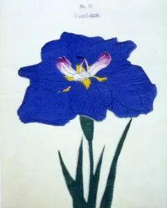 Indigo Prints: O-Sho-Kun, No 12