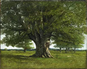 Courbet Prints: The Oak of Flagey (also known as the Oak of Vercingetorix)