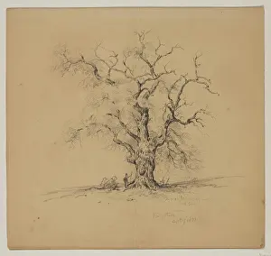 Underneath Prints: Oak Tree, Kingston, September 7th, 1838, 1838. Creator: John William Casilear