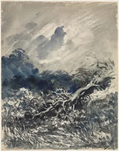And Graphite Prints: The Oak Tree and the Reed, c. 1873. Creator: Charles Francois Daubigny (French, 1817-1878)