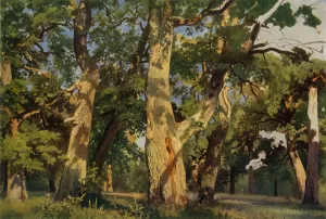 Ivan Prints: Oak Trees at Eventide, 1887, (1965). Creator: Ivan Shishkin