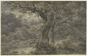 Schirmer Johann Wilhelm Prints: Oak trees in the forest, 19th century. Creator: Johann Wilhelm Schirmer