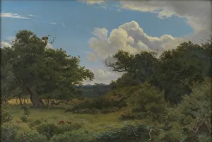 Oak Trees in Nordskoven near Jægerspris, Zealand, 1843. Creator: Peter Christian Thamsen Skovgaard